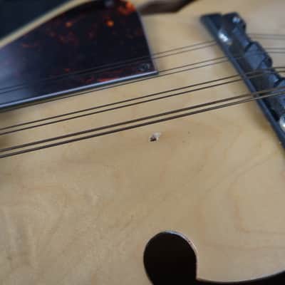 Vintage Hondo Natural Mandolin image 6