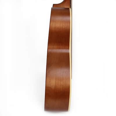 Art & Lutherie Ami Cedar Parlor Acoustic Guitar in Antique Burst image 4