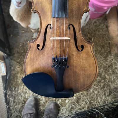 Black Walnut! Brad ROBINSON 5-String Violin 4/4 Bluegrass Dream Fiddle *PowerHouse Monster! image 8