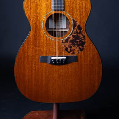 Bayard Guitars Guitar Bouzouki #0319 - Gloss oil varnish image 1