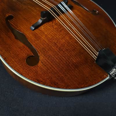 Eastman MD505 Mandolin A Style Classic Finish w/ Case image 10