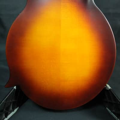 The Loar LM-590-MS  All Solid F-Style Mandolin NEW! FREE SHIPPING! w/ Gigbag image 10