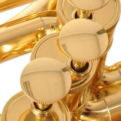 Adams Adams Marching Sousaphone - Lacquer (No Case) MSP1O image 2