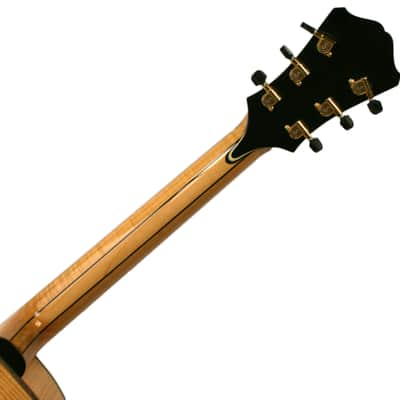 Eastman AR910CE-BD-TD image 6