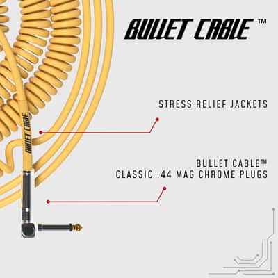 Bullet Cable 10/20 Gold Straight Coil Cable (30ft) image 2