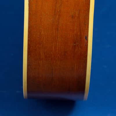 Harmony H1203 Sovereign / 1971 / Jangle Sweetness! image 20