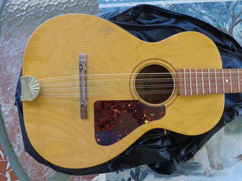 1960's Jackson Guldan Cittern - 10 Strings in B Tuning - Fifths Tuning image 1