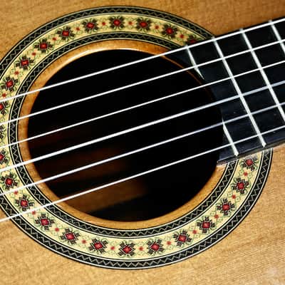 Custom Pegasus Guitar / Ukulelefriend.com image 12