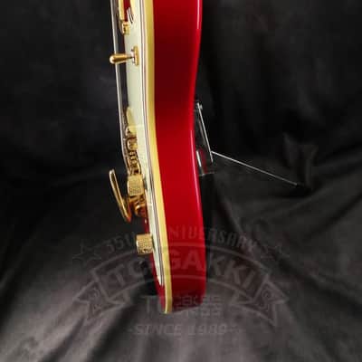 Fender Japan Terry-1 ANNIVERSARY Mod image 9