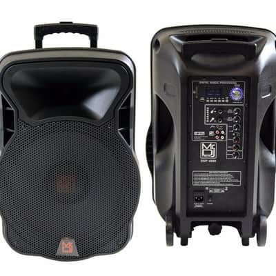 PRO 4000W Bluetooth DSP FM Radio USB Portable PA DJ KARAOKE Speaker image 4