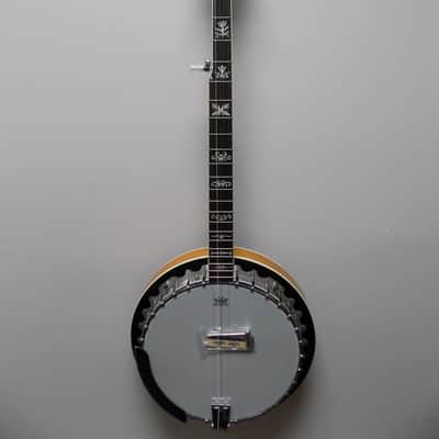 Washburn Americana B10 5-string Resonator Banjo image 2