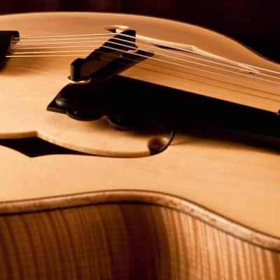 Buscarino Custom Artisan (2010) image 15