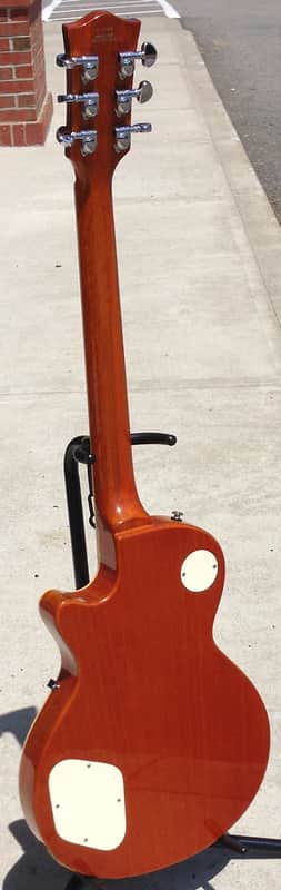 Dillion Dl 650 Les Paul image 1