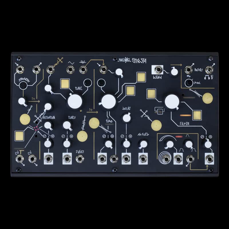 Make Noise Strega Module | Reverb