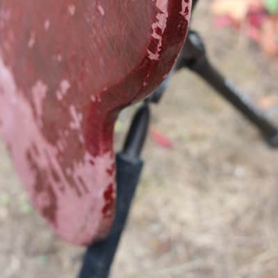 Gibson eb-o 1967 - red image 15