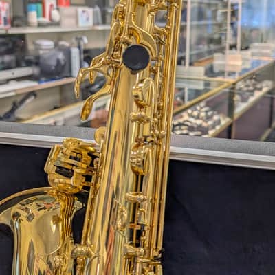 Alpine Woodwinds AAS143 2010's Alto Saxophone with Case - Gold image 12