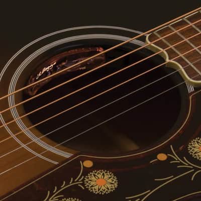 LR Baggs Session VTC | Undersaddle Acoustic Guitar Pickup System with Preamp. New with Full Warranty! image 2
