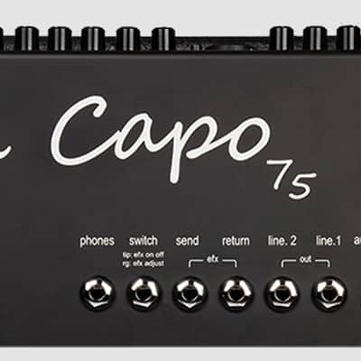 Udo Roesner Da Capo 75 Acoustic Guitar Amp Amplifier 75W Combo 220V image 3