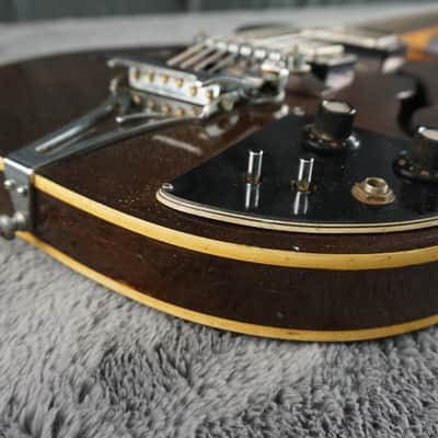 Lero Semi Hollow Body Electric Guitar image 5