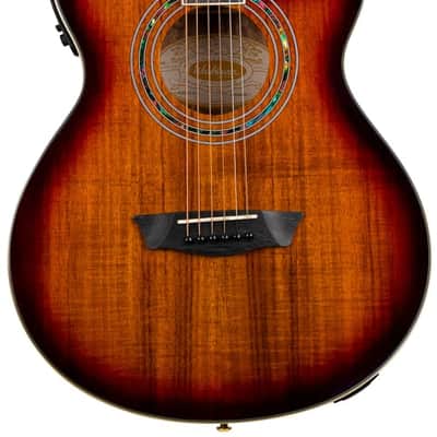 Washburn Festival EA55G Koa Burst image 1