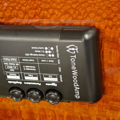 HONZ Tech ToneWood Amp for Acoustic Guitar image 6