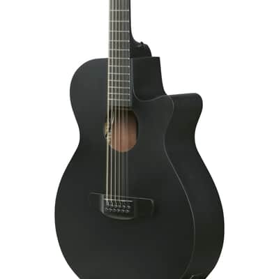 Ibanez AEG1221-BOT 12-String - 12 String Acoustic Guitar image 6