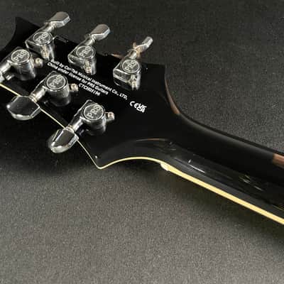 PRS SE Hollowbody Standard w/HSC - Dog Hair Smokeburst image 9