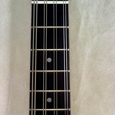 Octave Mandolin conversion of Vox Mark III mini image 2