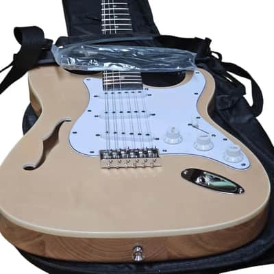 GUITAR BANKRUPTCY SALE ON NEW 12 STRING SEMI-HOLLOW STRAT STYLE ELECTRIC GUITARS image 1