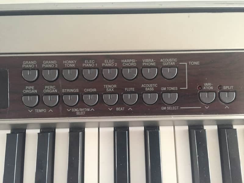 CASIO 電子ピアノ privia PX-500L Casio PX-500L Privia 88 Key Digital Piano : Amazon.in: Musical