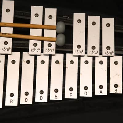 Vic Firth Xylophone Bells with Case image 8