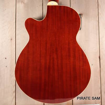 Washburn AB5K Custom Art 4-String Acoustic Bass "Spikes of the South West " w/gig bag image 11