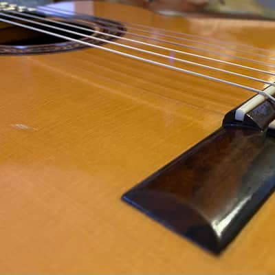 1995 Pimentel Grand Master Jazz -- Brazilian & Spruce image 21