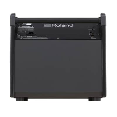 Roland - PM-200 - Personal Drum Monitor-180 watts, 12" woofer, horn tweeter, XLR outputs image 4