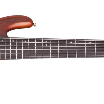 Schecter Stiletto Studio 6 - Honey Satin (2730) image 3