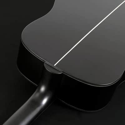 Washburn 6 String Acoustic Guitar, Right, Striped Ebony (DFED) image 5