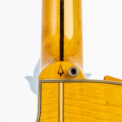 Daion The Year Series '81 Caribou - Tinted Tan (TAN) - Electric Acoustic Six String image 8