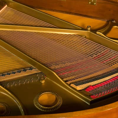 Baldwin Baby Grand Piano - Model M - Made in USA 1963 - FREE Delivery in USA image 14