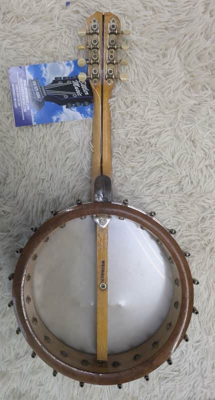 Antique Washington Banjolin / Mando-Banjo / Mandolin-banjo | Reverb