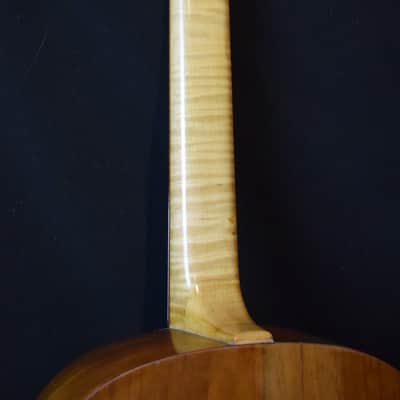 Monzino Hawaiian Square neck guitar 1920 image 4