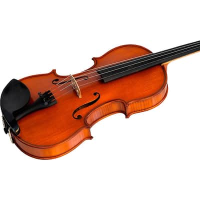 Bellafina Violin Outfit Domenico Model Oblong Case/Brazilwood Bow Regular 4/4 image 7