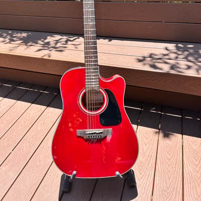 Elite/Takamine TW25 (special style) | Reverb