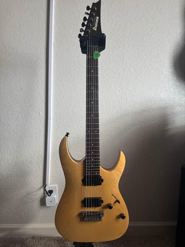 Ibanez RGA121-NTF Prestige 2005 - 2008 - Natural Flat image 1