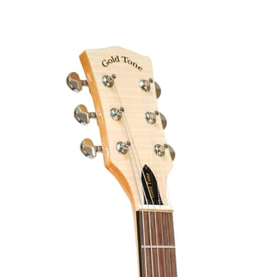 Brand New Goldtone BT-1000: 6-String Banjitar with Pickup and Padded Gig Bag image 6