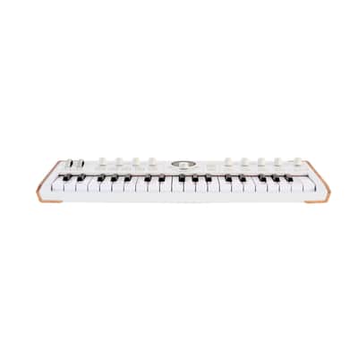 Arturia AstroLab 37 - Synthesizer image 2