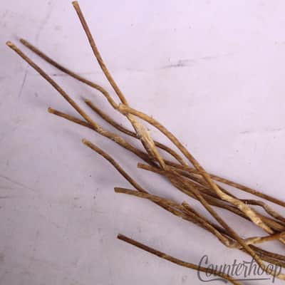 Ludwig Catgut(Sheep) 15"Snare Drum Wires/12x 20.5"Strands Vintage Cat Gut 70s US image 3