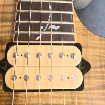 Ibanez J Custom RG8570MW-NT 1/20 Limited Edition 20th Anniversary image 7