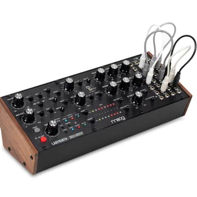 MOOG MUSIC Labyrinth image 3