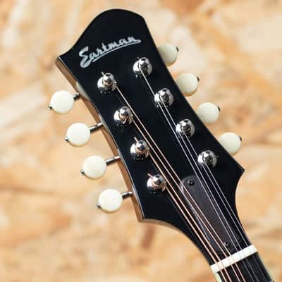 Eastman MD504 2022 imagen 8