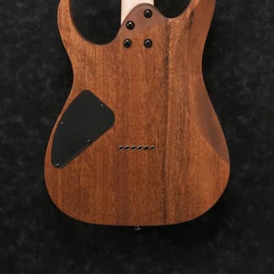 Ibanez RG421-MOL RG Electric Guitar 6-String - Mahogany Oil image 4